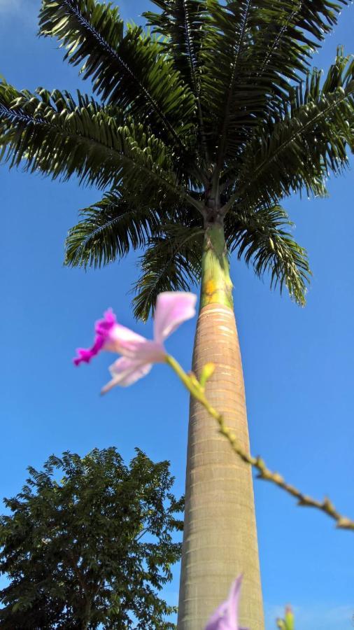 Pouso Bom Retiro Araquari Exterior foto