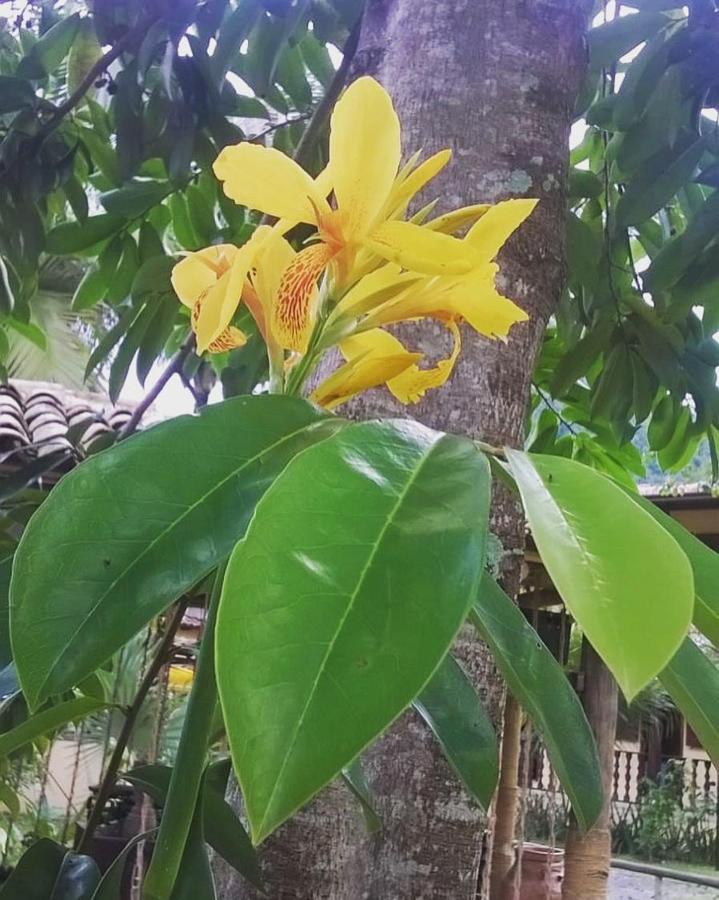 Pouso Bom Retiro Araquari Exterior foto