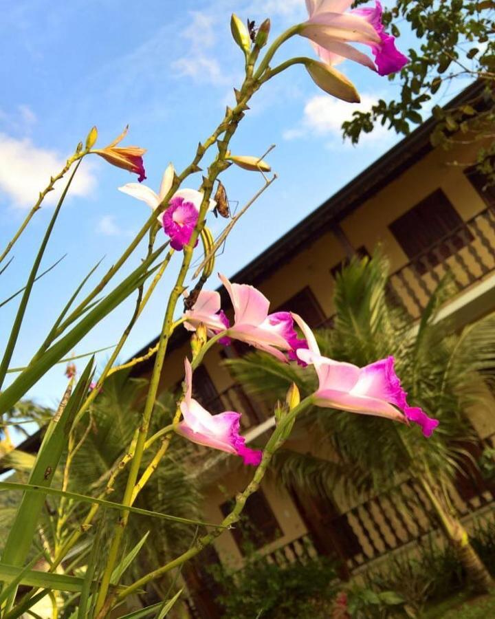 Pouso Bom Retiro Araquari Exterior foto